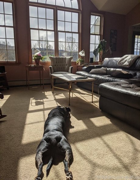 gutfuzz star naked pics