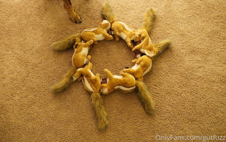 gutfuzz star porn picture