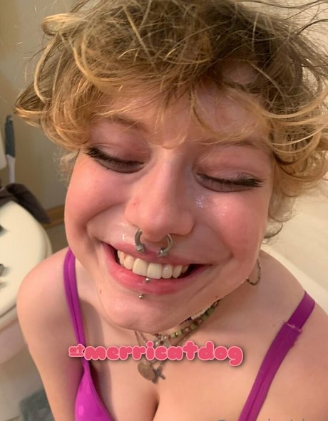 merricatdog model high quality photo