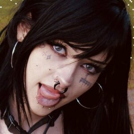 Lostwetdog best model pic