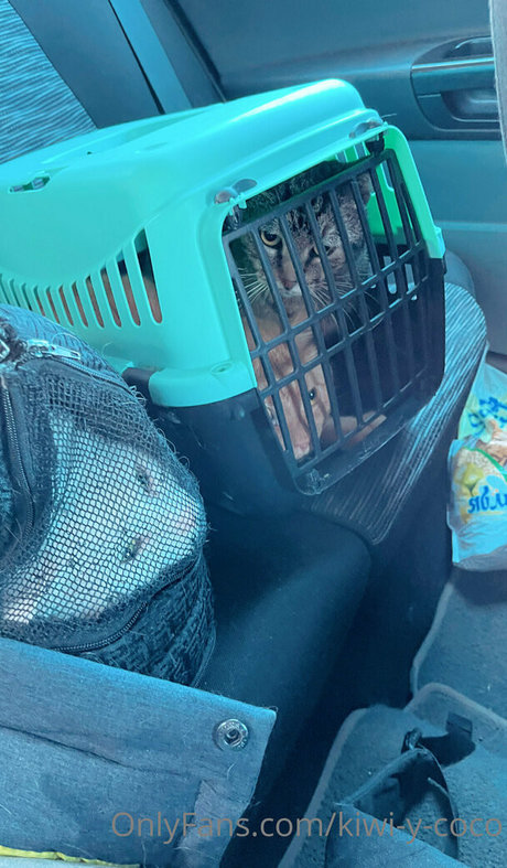 kiwi y coco pornstar best picture