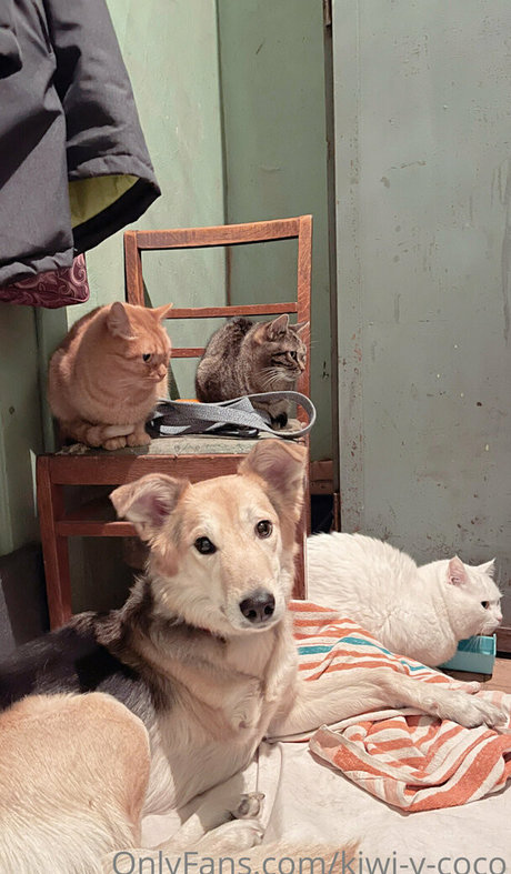 kiwi y coco thumbnail