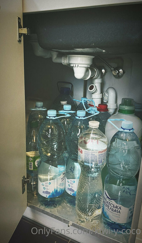 kiwi y coco porn star archive