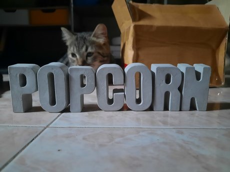 Popcorn_ model hd gallery