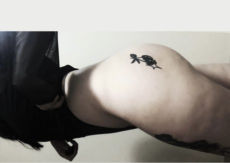 r0ttenkitty art pornstar picture