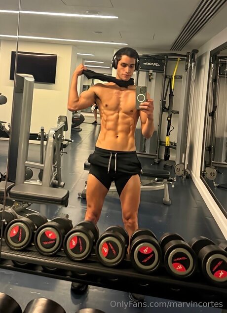 Marvin model perfect picture