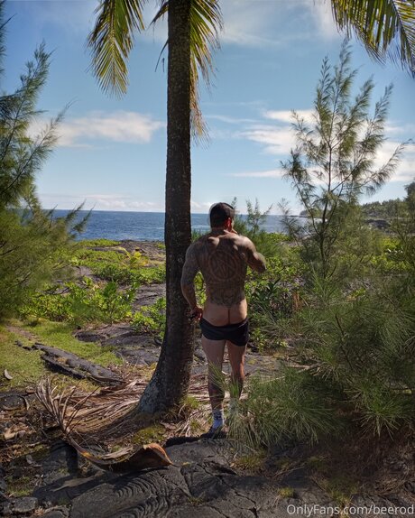 Brandon Blye free pornstar pics