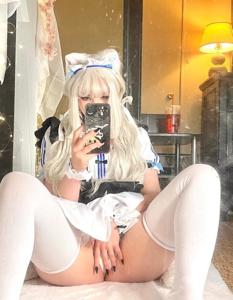 Pockycats top star photo