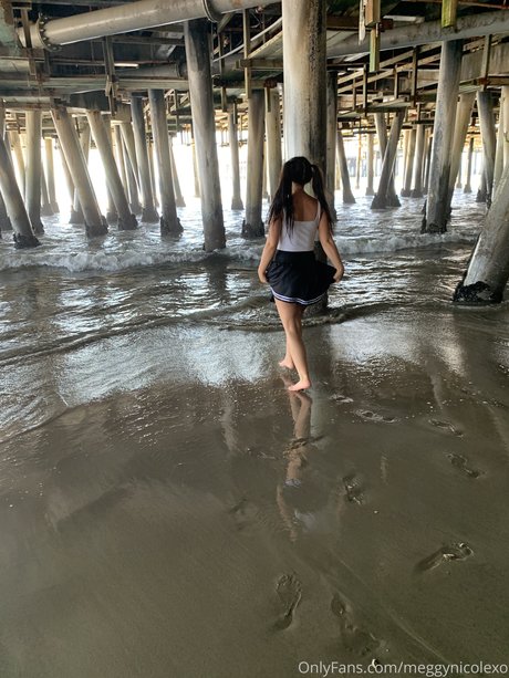 Megan Nicole nude star photos