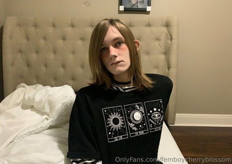 femboycherryblossom star hd image