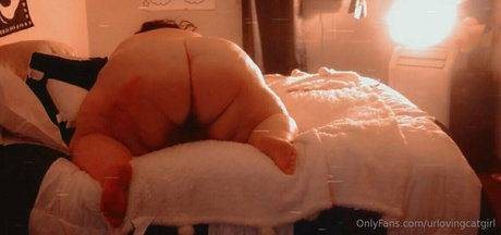 urlovingcatgirl nice pornstar pics