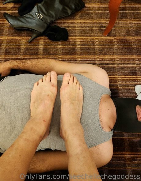 seechellethegoddess best pornstar img