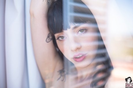 Minuminula top pornstar photos