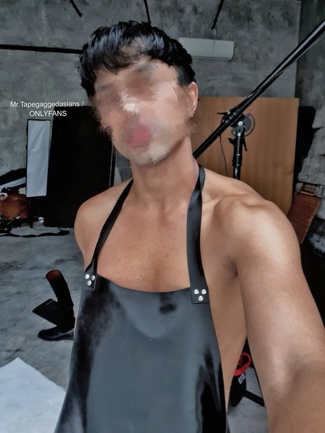 MR Tapegaggedasians porn model images