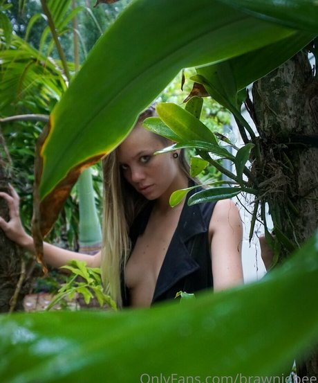 trans onlyfans best pictures