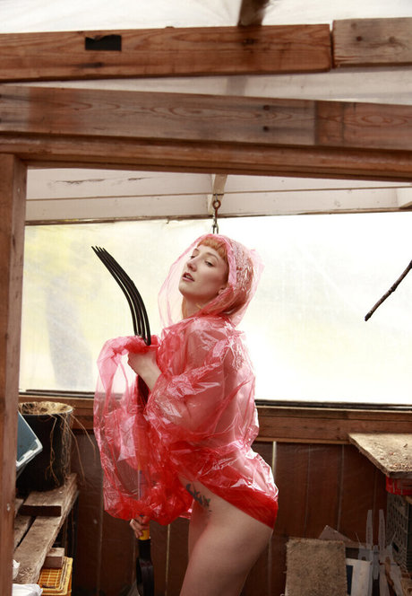 SDFoto hd actress photos