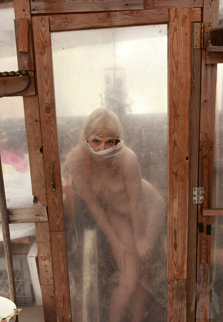 SDFoto nice star pics