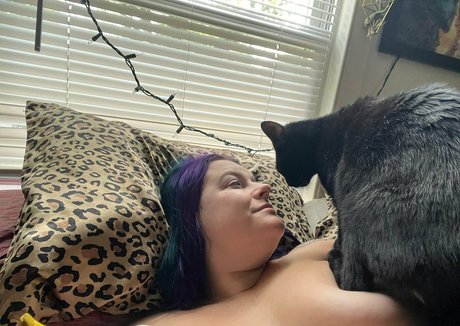 cali luve pornstar high quality archive