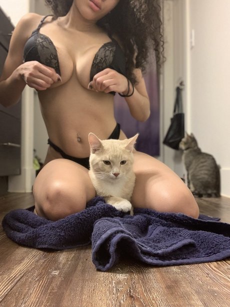 Nalakitty star porn galleries