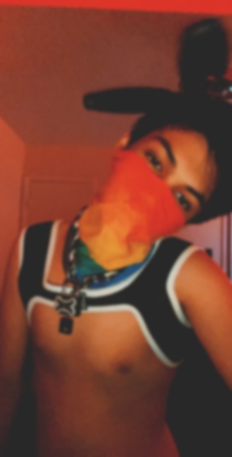 Robin Wonder pornstar art images