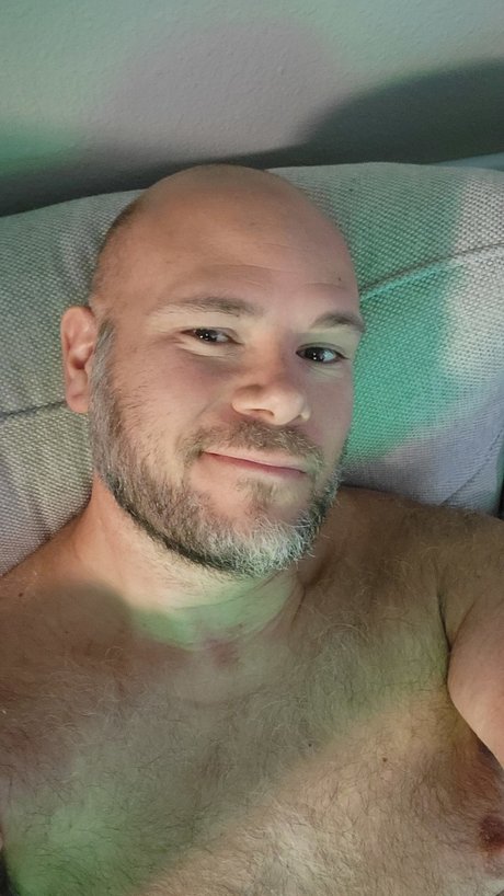 Bear Bob model adult pic