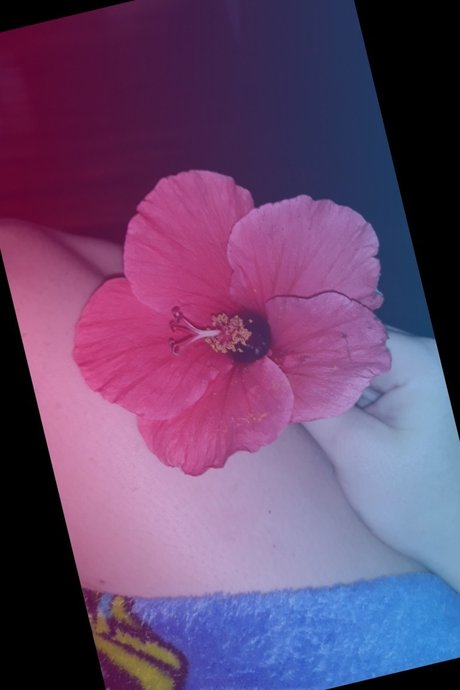 Nicki Dice star porn images