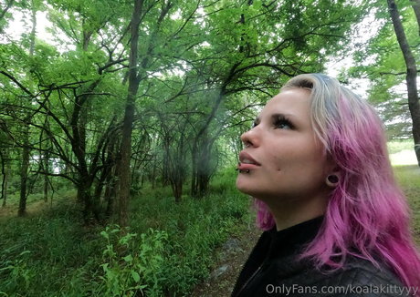 koalakittyyy high quality star picture