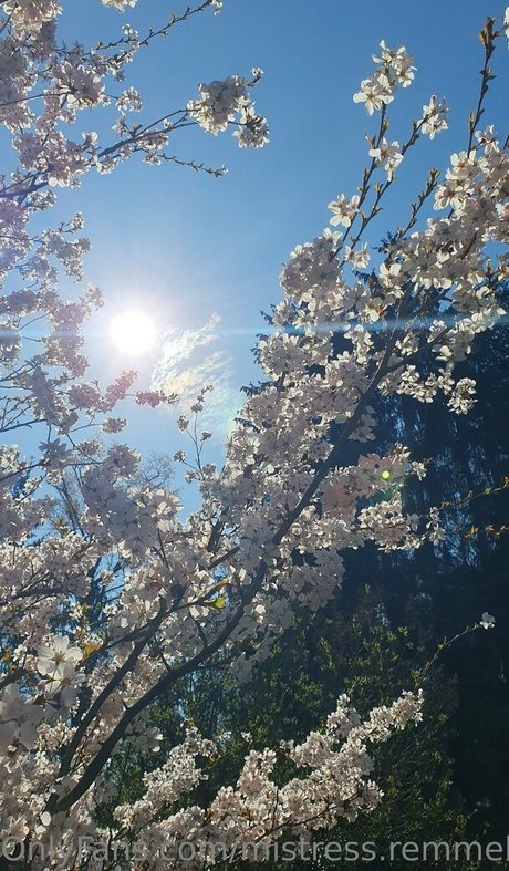 mistress remmel exclusive actress photo