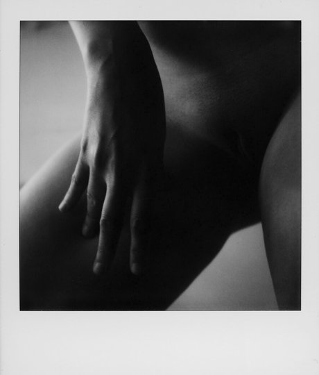 sisuuz nice star gallery