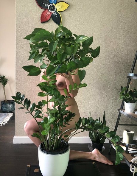 nastywoman3 star beautiful gallery