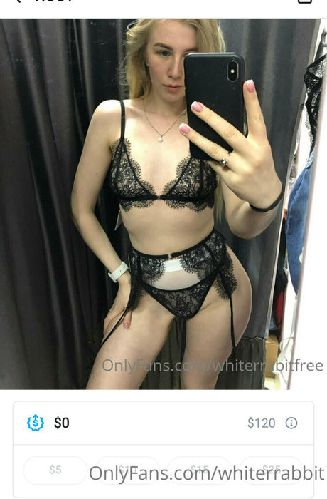 whiterrabbit star beautiful archive