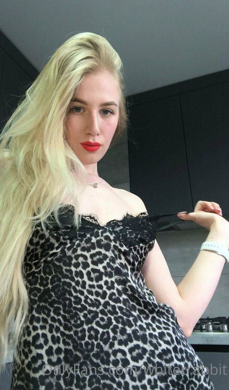 whiterrabbit star nice image