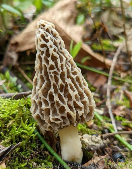 freesexypsychedelic model nude gallery