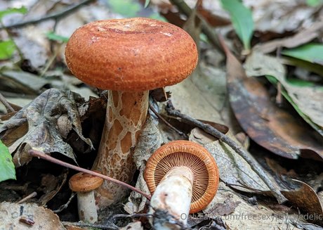 freesexypsychedelic naked pornstar galleries