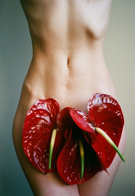 Kate Ri nude pornstar img