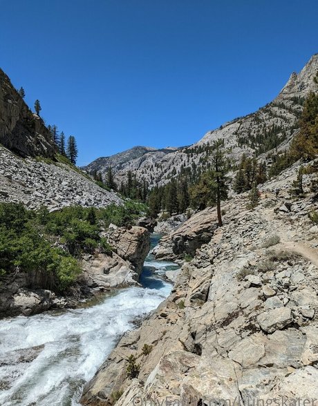 hungskater xxx actress galleries