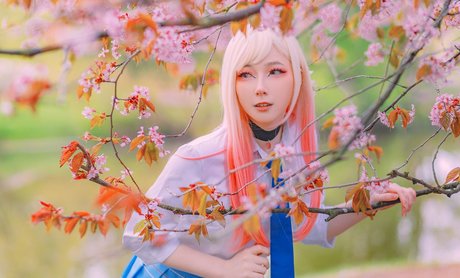 visagefox star top images