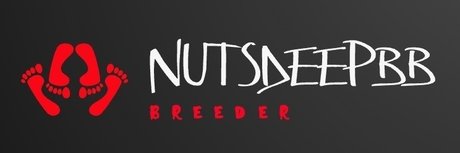 NutsdeepBB top pornstar archive