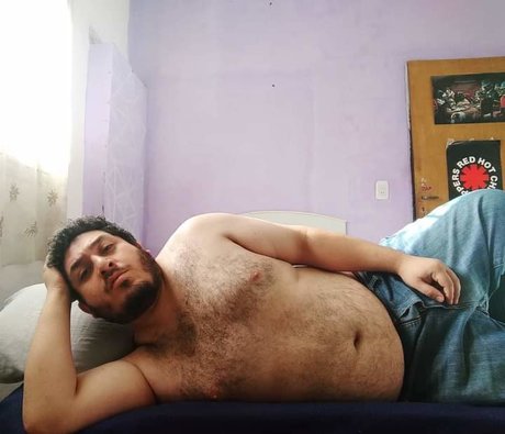 Daniel bear art model archive