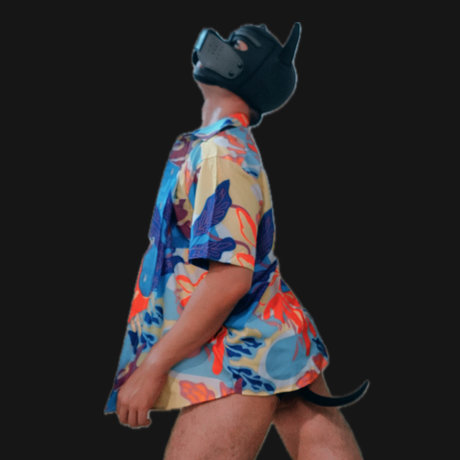 Peter Puppy model perfect archive