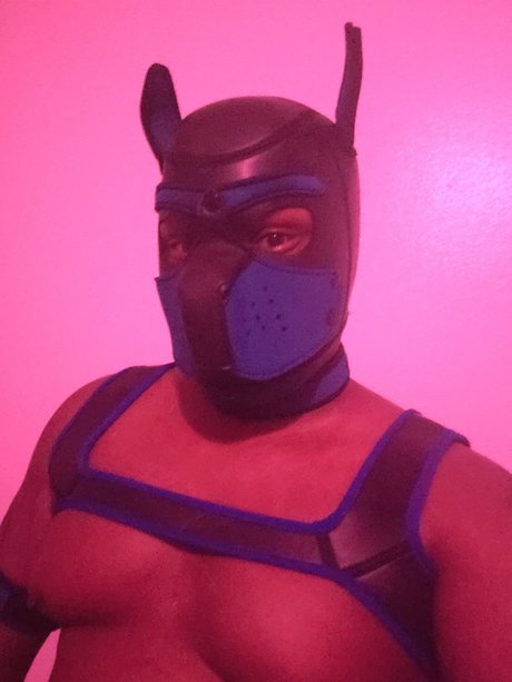 Shadow Pup exclusive actress img