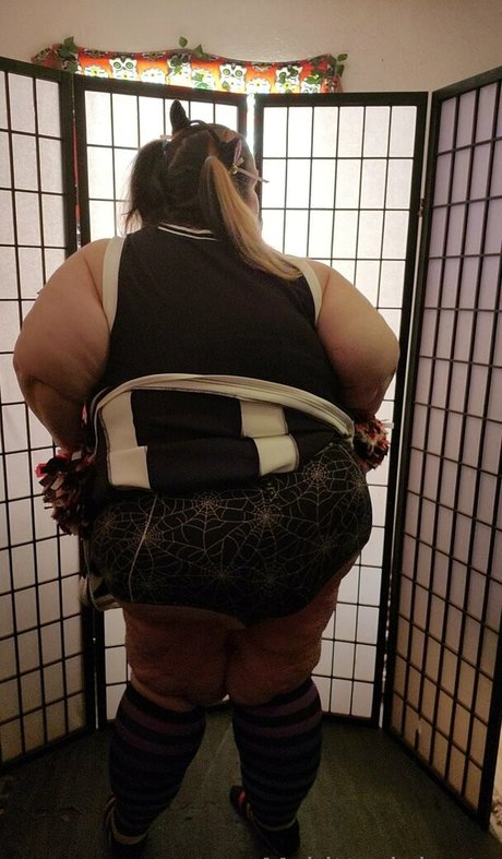 mskittydelgato star free picture