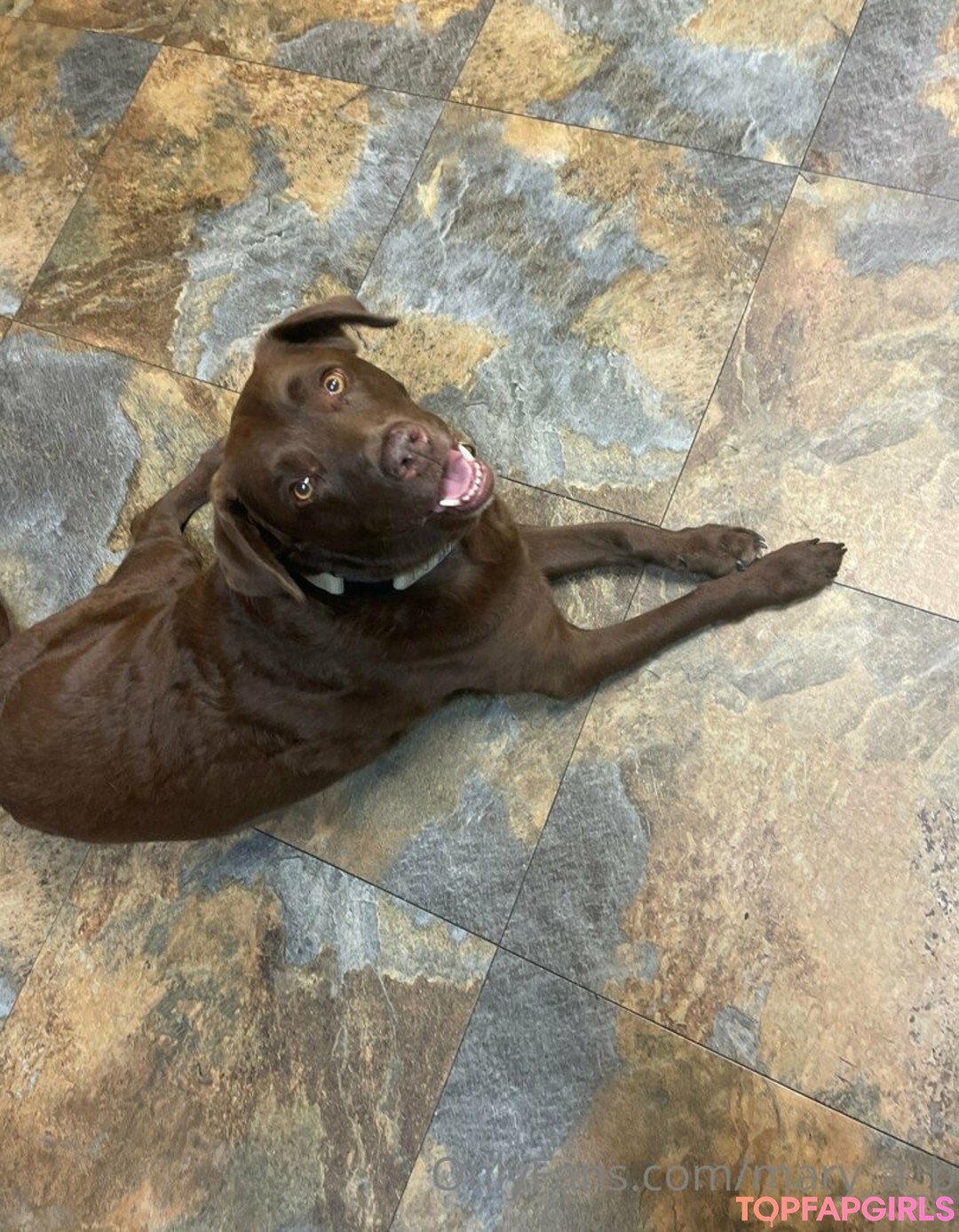 mary a b perfect pornstar pics