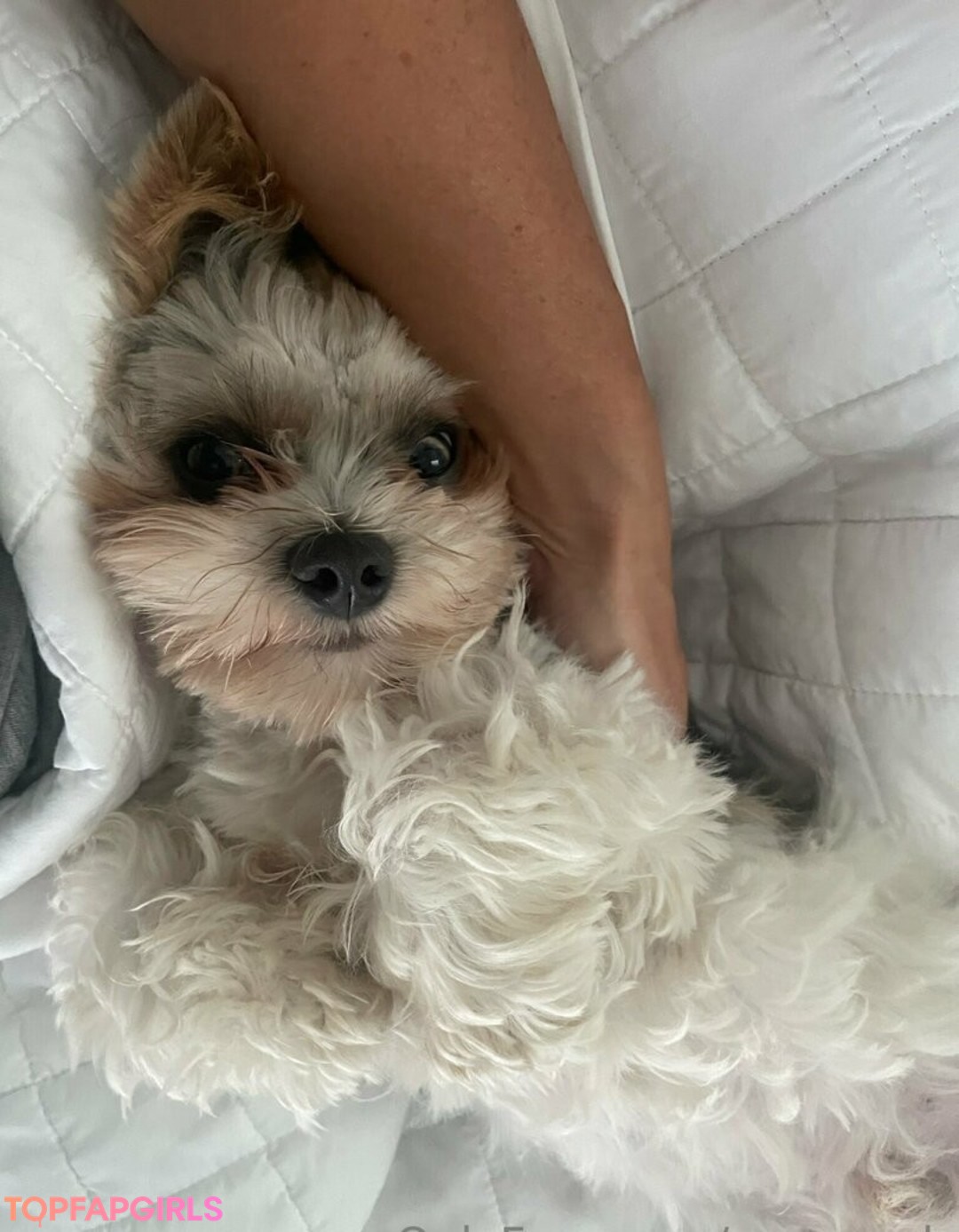 horny mature onlyfans free sexy images