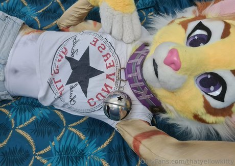 thatyellowkitty xxx pornstar pic