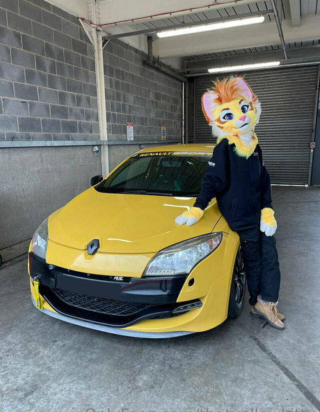 thatyellowkitty top star img
