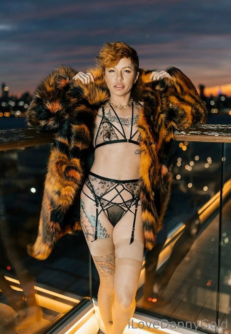 thedannygoldexperience model nice archive