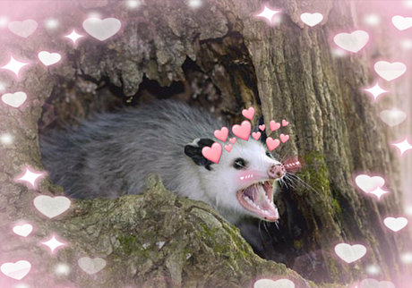 dioxamour pornographic star pictures