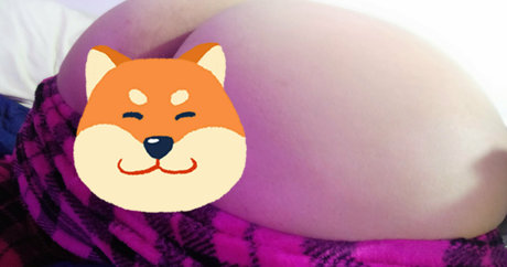 lycalopex ignis star pretty photos