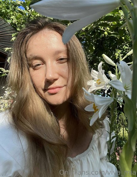 lilly lil star perfect archive